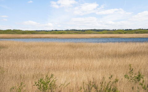 Hermandine - 700M from the Sea: Tag, Hus, Land Lot, Hjem, Sommerhus, Estate, Garden Bygninger, Skygge, Bjælkehytte, Landscaping