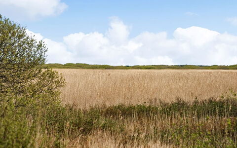Hermandine - 700M from the Sea: Tag, Hus, Land Lot, Hjem, Sommerhus, Estate, Garden Bygninger, Skygge, Bjælkehytte, Landscaping