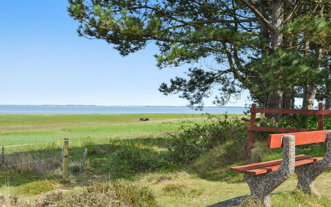 Sedine - 3.9Km from the Sea: Græs, Grøn, Naturlige Landskab, Græs-, Sommer, Udendørs Bench, Møbel, Hav, Almindeligt, Land Lot
