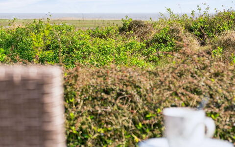 Sedine - 3.9Km from the Sea: Plantesamfund, Sollys, Urteagtig Plante, Have, Plantation, Landbrug, Farm