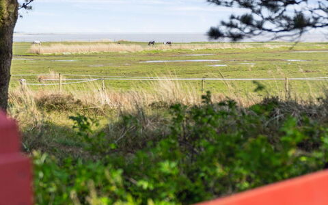 Sedine - 3.9Km from the Sea: Plantesamfund, Sollys, Urteagtig Plante, Have, Plantation, Landbrug, Farm