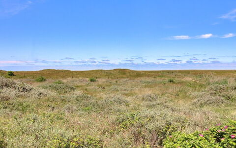 Zekine - 2.5Km from the Sea: Himmel, Blå, Græs-, Græs, Naturligt Miljø, Økoregion, Vegetationen, Horisont, Naturlige Landskab, Almindeligt
