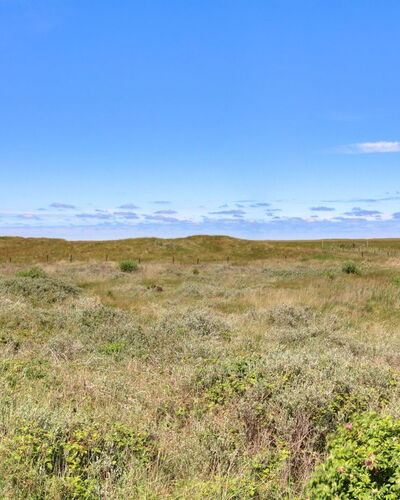 Zekine - 2.5Km from the Sea