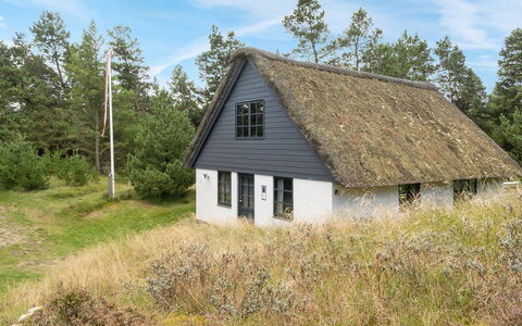 Benedikta - 2.4Km from the Sea: Tag, Hus, Boligområde, Hjem, Estate, Sommerhus, Design