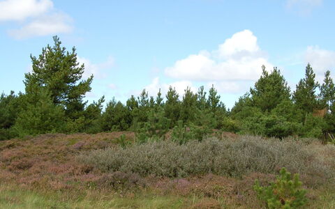 Falki - 2.5Km from the Sea: Bygning, Hus, Vindue, Hjem, Tag, Boligområde, Busk, Sommerhus, Land Lot