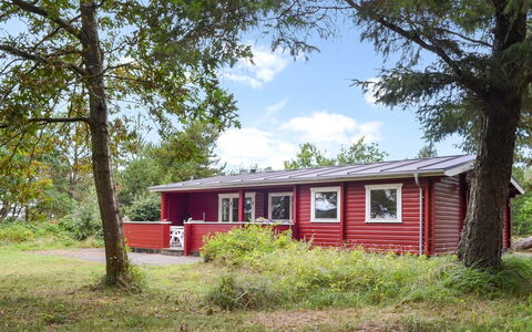 Odsten - 1Km from the Sea: Græs, Hus, Hjem, Sommerhus, Busk, Tag, Land Lot, Landdistrikt, Sidespor