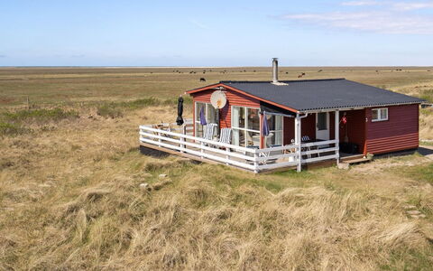 Blomma - 350M from the Sea: Plantesamfund, Sollys, Urteagtig Plante, Have, Plantation, Landbrug, Farm