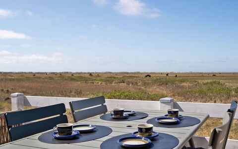 Blomma - 350M from the Sea: Plantesamfund, Sollys, Urteagtig Plante, Have, Plantation, Landbrug, Farm