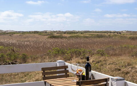 Blomma - 350M from the Sea: Plantesamfund, Sollys, Urteagtig Plante, Have, Plantation, Landbrug, Farm