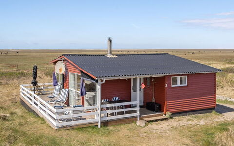 Blomma - 350M from the Sea: Plantesamfund, Sollys, Urteagtig Plante, Have, Plantation, Landbrug, Farm