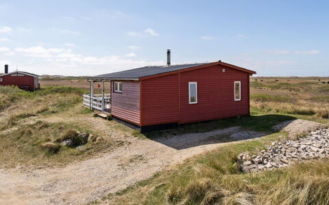 Blomma - 350M from the Sea: Plantesamfund, Sollys, Urteagtig Plante, Have, Plantation, Landbrug, Farm