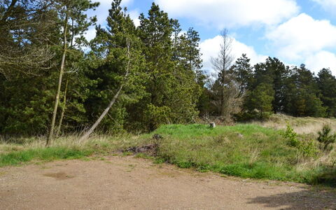 Trana - 2Km from the Sea: Blad, Træ, Græs, Naturligt Miljø, Natur, Vegetationen, Sky, Busk, Økoregion, Plantesamfund