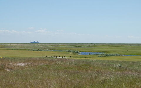 Arabella - 2.3Km from the Sea: Træ, Hav, Sky, Coastal Og Oceaniske Landskabsformer, Dæk, Ocean, Planke, Boardwalk, Kyst, Hårdttræ