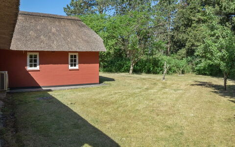 Gudmund - 3.9Km from the Sea: Sommerhus, Have, Sidespor, Garden Bygninger, Skygge, Gård, Backyard, Lawn, Stuehus, Landscaping