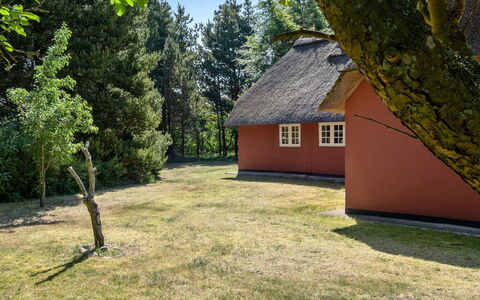 Gudmund - 3.9Km from the Sea: Sommerhus, Have, Sidespor, Garden Bygninger, Skygge, Gård, Backyard, Lawn, Stuehus, Landscaping