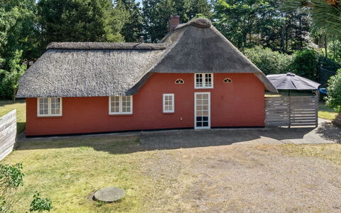 Gudmund - 3.9Km from the Sea: Sommerhus, Have, Sidespor, Garden Bygninger, Skygge, Gård, Backyard, Lawn, Stuehus, Landscaping
