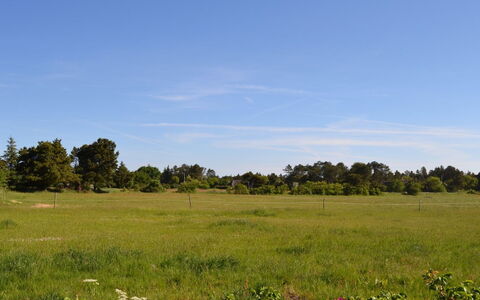 Naili - 3.1Km from the Sea: Blå, Grøn, Græs, Græs-, Naturlige Landskab, Vegetationen, Almindeligt, Økoregion, Prærie, Land Lot