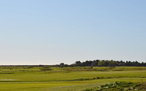 Börge - 3.9Km from the Sea: Møbel, Indretning, Stol, Gulvbelægning, Bord, Udvej, Etage, Loft, Værelse, Eco Hotel
