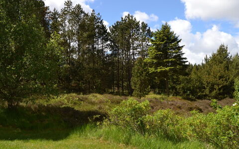 Emilla - 3.8Km from the Sea: Græs, Hus, Tag, Hjem, Sommerhus, Busk, Land Lot, Landdistrikt, Stuehus, Bunddække