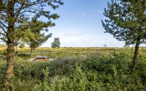 Artan - 2.6Km from the Sea: Græs, Græs-, Landskab, Økoregion, Almindeligt, Plantesamfund, Land Lot, Udendørs Møbler, Prærie, Shrubland