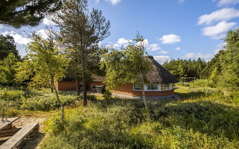 Artan - 2.6Km from the Sea: Græs, Græs-, Landskab, Økoregion, Almindeligt, Plantesamfund, Land Lot, Udendørs Møbler, Prærie, Shrubland