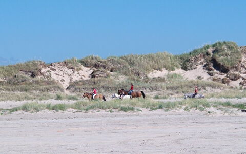 Elise - 800M from the Sea: Bygning, Hus, Vindue, Hjem, Tag, Boligområde, Busk, Sommerhus, Land Lot