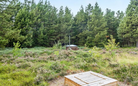Nila - 750M from the Sea: Græs, Vegetationen, Busk, Plantesamfund, Land Lot, Skov, Bunddække, Lærk, Naturreservat, Eng