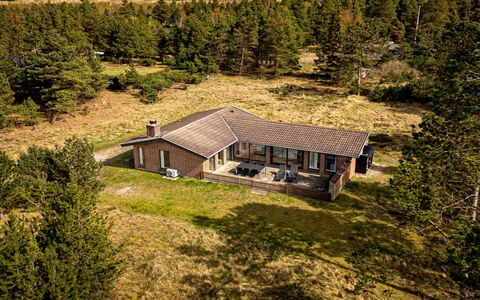 Stojanka - 1Km from the Sea: Plantesamfund, Sollys, Urteagtig Plante, Have, Plantation, Landbrug, Farm