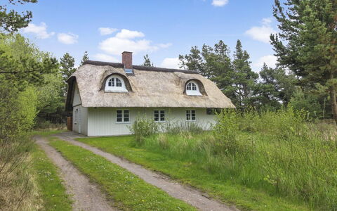 Volmar - 3.5Km from the Sea: Tækning, Sommerhus, Hus, Tag, Hjem, Stuehus, Hytte, Estate, Landsby