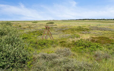 Fiona - 800M from the Sea: Sommerhus, Skur, Hytte, Stuehus, Prærie, Hytte, Lade, Bjælkehytte, Garden Bygninger