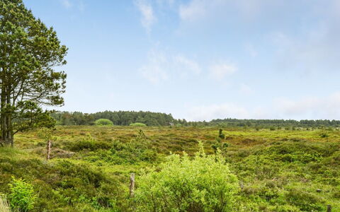 Alfwin - 3Km from the Sea: Bygning, Hus, Vindue, Hjem, Tag, Boligområde, Busk, Sommerhus, Land Lot