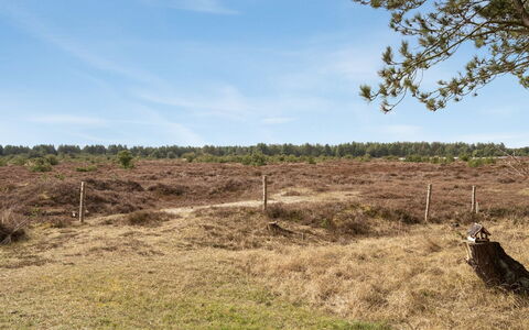 Alfwin - 3Km from the Sea: Bygning, Hus, Vindue, Hjem, Tag, Boligområde, Busk, Sommerhus, Land Lot