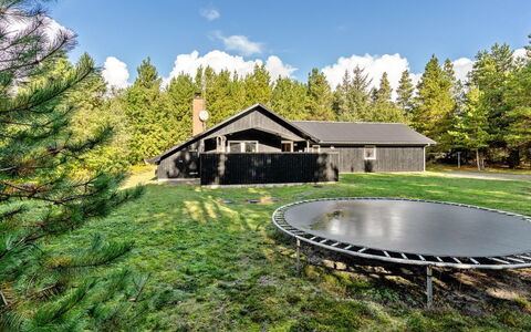 Jul - 900M from the Sea: Træ, Græs, Land Lot, Landdistrikt, Sommerhus, Have, Lawn, Lærk, Landscaping, Woodland