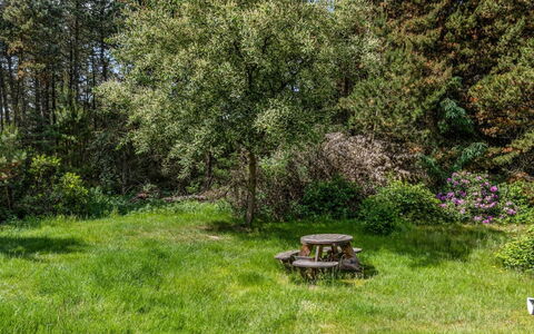 Jul - 900M from the Sea: Træ, Græs, Blad, Vegetationen, Busk, Have, Plantesamfund, Græs-, Land Lot