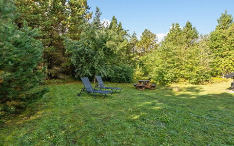 Jul - 900M from the Sea: Sommerhus, Have, Sidespor, Garden Bygninger, Skygge, Gård, Backyard, Lawn, Stuehus, Landscaping