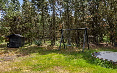Jul - 900M from the Sea: Træ, Græs, Land Lot, Bagagerum, Woodland, Lund, Skov, Skygge, Have, Parkere