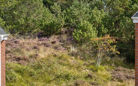Maylin - 2.3Km from the Sea: Tag, Hus, Land Lot, Hjem, Sommerhus, Estate, Garden Bygninger, Skygge, Bjælkehytte, Landscaping
