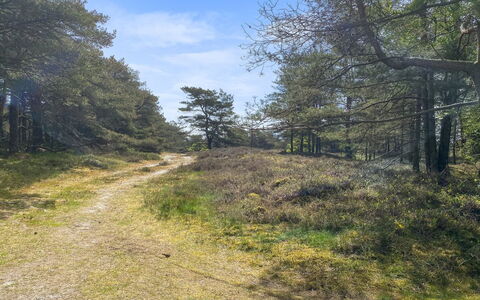 Mikaela - 1Km from the Sea: Græs, Hus, Tag, Hjem, Sommerhus, Busk, Land Lot, Landdistrikt, Stuehus, Bunddække