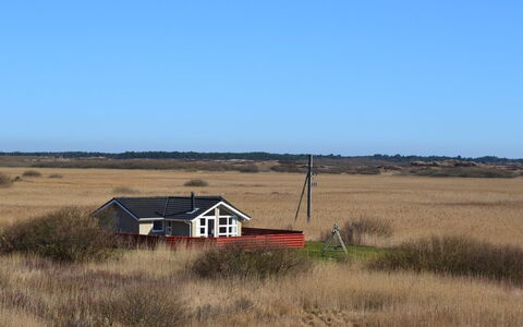 Arnkil - 700M from the Sea: Busk, Urban Design, Bunddække, Mursten, Lejlighed, Estate, Murværk, Altan, Landscaping