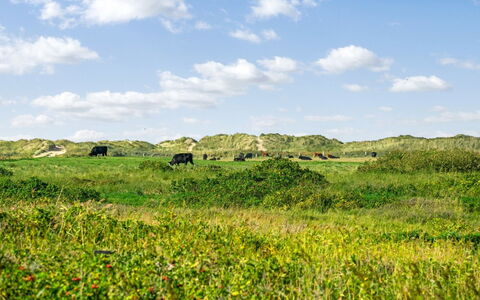 Mortensen - 350M from the Sea: Sommerhus, Skur, Hytte, Stuehus, Prærie, Hytte, Lade, Bjælkehytte, Garden Bygninger