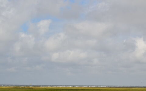 Mortensen - 350M from the Sea: Himmel, Sky, Blå, Daytime, Horisont, Naturligt Miljø, Økoregion, Græs-, Almindeligt, Cumulus