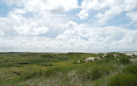 Kalf - 400M from the Sea: Græs, Hus, Tag, Hjem, Sommerhus, Busk, Land Lot, Landdistrikt, Stuehus, Bunddække
