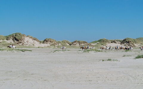 Sigrun - 4Km from the Sea: Boligområde, Tag, Forstad, Indkørsel, Estate, Skorsten