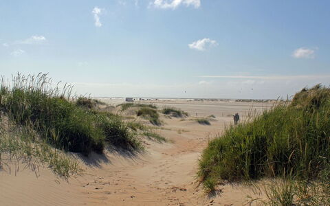 Neia - 640M from the Sea: Tag, Hus, Land Lot, Hjem, Sommerhus, Estate, Garden Bygninger, Skygge, Bjælkehytte, Landscaping
