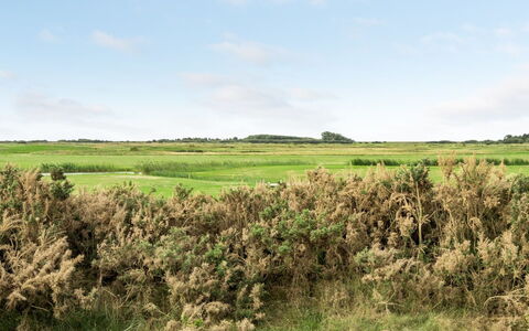 Hugo - 2.5Km from the Sea: Tag, Hus, Hjem, Sommerhus, Dør, Sidespor, Estate, Lawn, Gård, Veranda