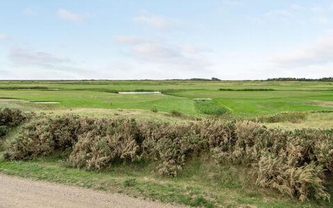 Hugo - 2.5Km from the Sea: Tag, Hus, Hjem, Sommerhus, Dør, Sidespor, Estate, Lawn, Gård, Veranda