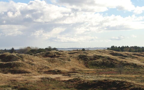 Inga - 1.3Km from the Sea: Himmel, Blå, Sky, Vegetationen, Græs-, Økoregion, Horisont, Plantesamfund, Brun, Ødemark