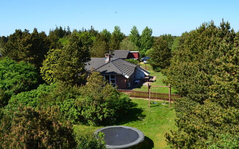 Botulf - 3.8Km from the Sea: Busk, Have, Lawn, Sommerhus, Landscaping, Gård, Backyard, Evergreen
