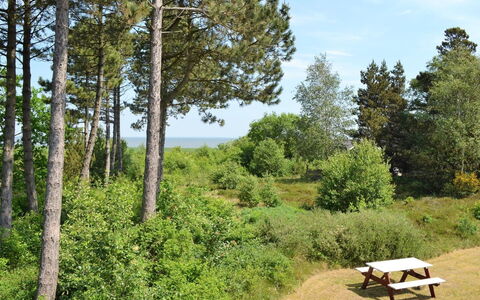 Volmer - 3.9Km from the Sea: Tag, Hus, Hjem, Sommerhus, Dør, Sidespor, Estate, Lawn, Gård, Veranda