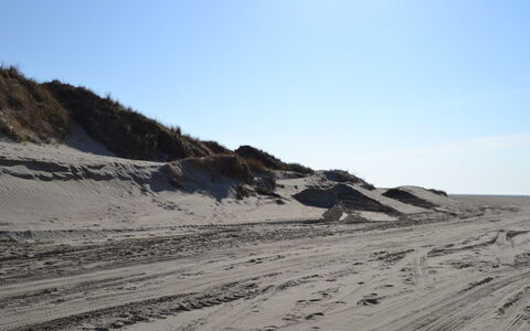 Elinora - 100M from the Sea: Naturligt Miljø, Sand, Økoregion, Landskab, Terræn, Geologi, Hældning